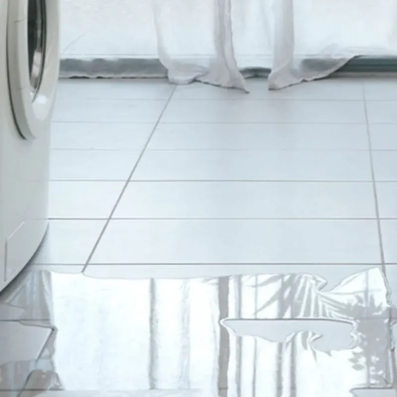 Appliance Leak Cleanup in Canadian Lakes, MI