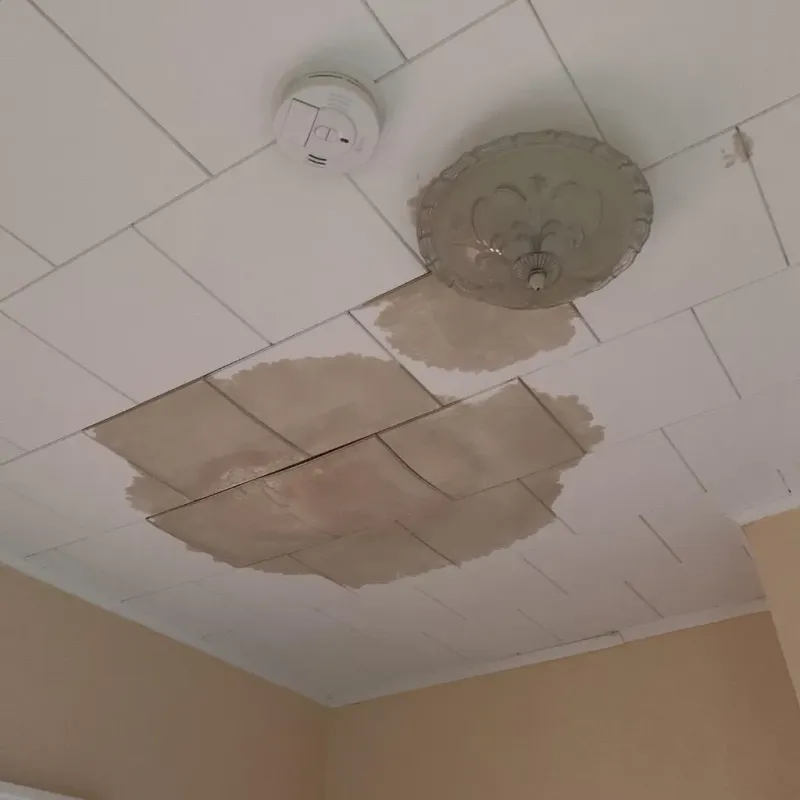 Ceiling Water Damage Repair in Canadian Lakes, MI