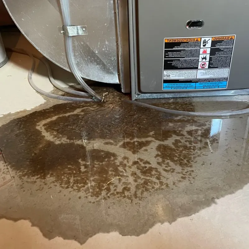 Pipe Burst and Leak Restoration in Canadian Lakes, MI