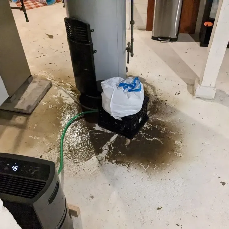 Sewage Backup Cleanup Service in Canadian Lakes, MI